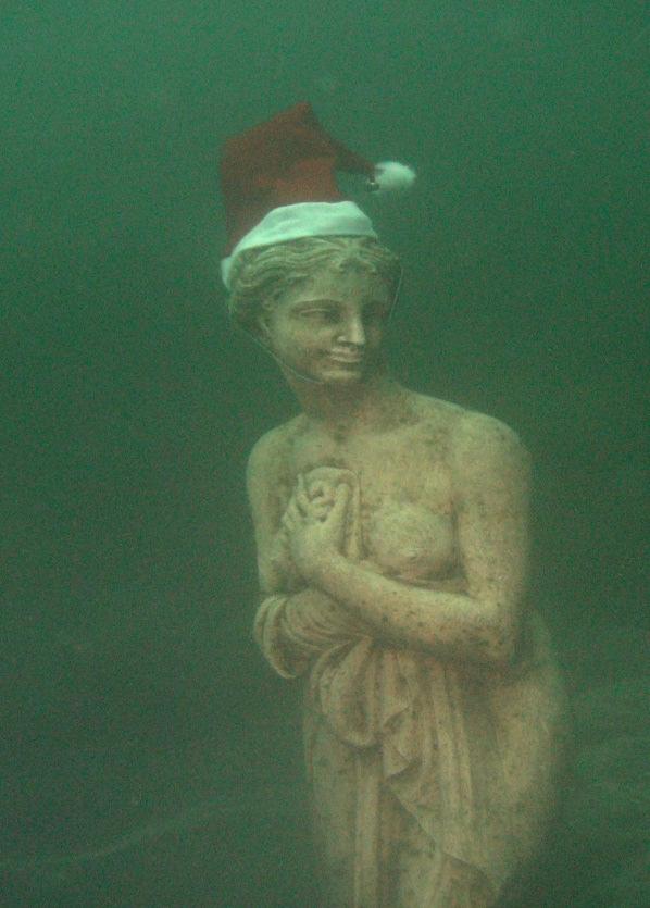 Unter Wasser erwartete die Taucherinnen und Taucher nicht nur der Weihnachtsbaum mit den