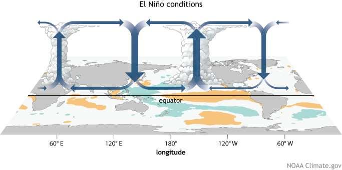 Реферат: El Nino Essay Research Paper El NinoTypically