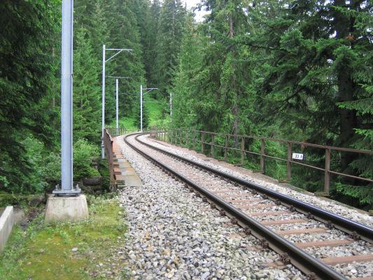 Projekt 3: Sicherheitsholzen (Unterhalt) Auf dem Abschnitt Klosterstunnel Cavadürlitunnel (km 33.2 34.6) sind entlang des Bahntrasses die bahngefährdenden Bäume zu fällen. Verkürzung von ca.
