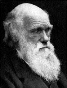 Alfred Russel Wallace (1858): On the Tendency of