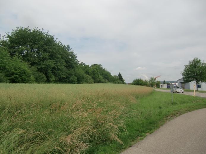 Aufgrund der Nähe zu den Bahngleisen und der Topographie ergeben sich hier weitere Aspekte, die eine