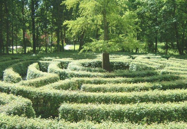 Suche im Labyrinth Aufgabe: Durchsuche ein Labyrinth Präzisierung der Aufgabenstellung: Jede Kreuzung und Sackgasse soll
