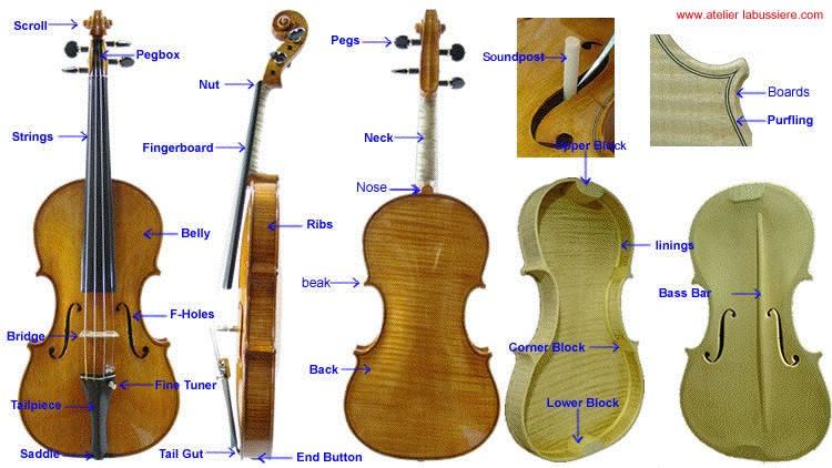 1.1 Die Violine: Bauteile Die Violine stellt in der Klarheit ihrer Form, ihrem einfachen Material und der Schönheit ihres Tones einen Gipfelpunkt des Instrumentenbaues dar (Melkus, 1973) Die Violine