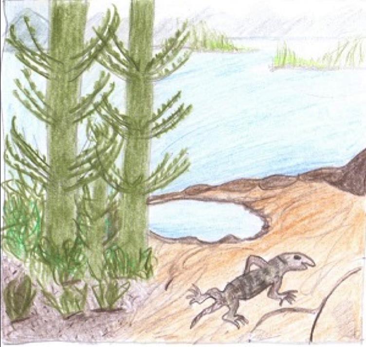 Devon (Erdaltertum) - Beginn: vor 419 Millionen Jahren - Ende: vor 359 Millionen Jahren - Dauer: 60 Millionen Jahre - Fischzeitalter Entwicklung vieler neuer Fischarten - Anstieg der Temperaturen -