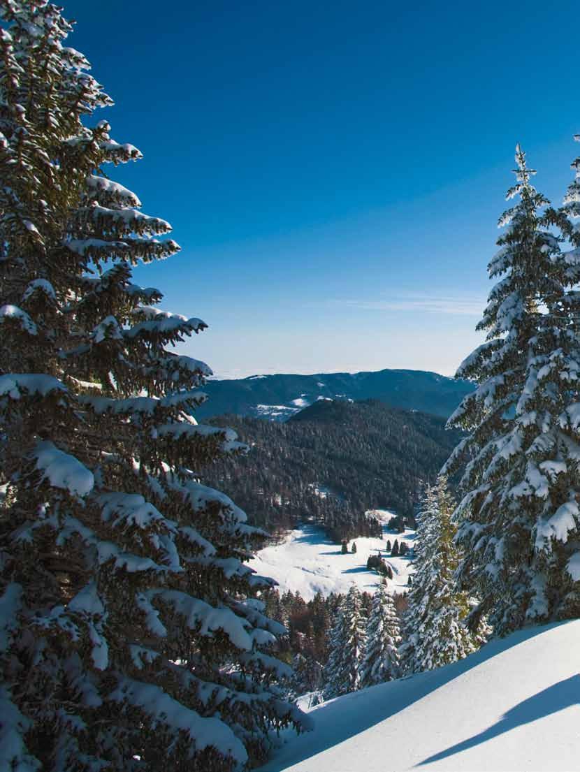 DAV Panorama 6/2011 Skitourenregionen im Bayerischen Oberland Eini und Skitourengehen boomt wie nie und hat sich gewandelt: Alpennah wohnende Tourengeher fahren häufiger für einen Kurztrip in die