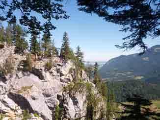 wurde 2013 das drittgrößte Naturwaldreservat Bayerns