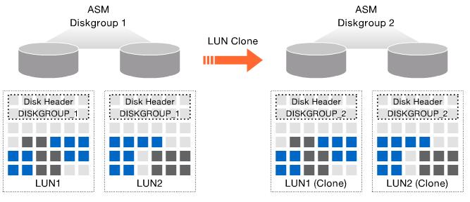 ASM Integration: Cloning ASM Diskgroup cloning via restamping of LUNs New ASM disk header