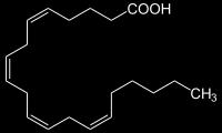 Synthese von Arachidonsäure Δ 9,12 ; C 18 Δ 6 -Desaturase (γ-linolensäure) Δ 5 -Desaturase Δ 6,9,12 ; C 18 Elongase (im endoplasmatischen