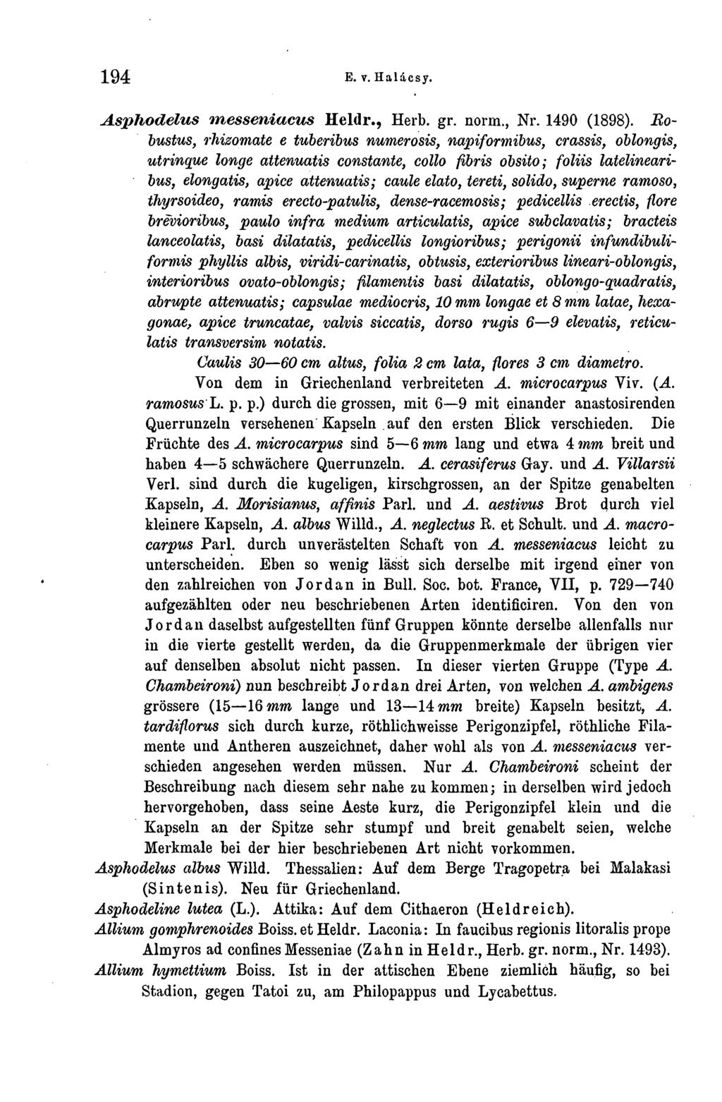 194 E. v. Halâcsy. Asphodelus tnesseniacus Heldr., Herb. gr. norm., Nr. 1490 (1898).