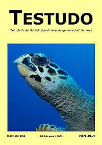 Die aktuelle Ausgabe (März 2014) unserer Vereinszeitschrift: Schwerpunktthema: Schwerpunktthema: Echte Karettschildkröten in der Bucht von Anse Lazio http://www.sigs.