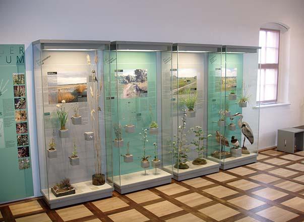 Hier gibt es neben attraktiven Ausstellungen zur Geologie, Ökologie, Ur- und Frühgeschichte und zum Kurwesen eine Dauerausstellung zu den Binnensalzstellen sowie eine Ton-Bild-Schau