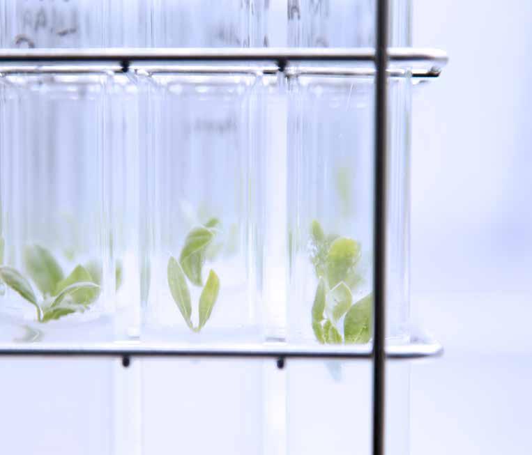 Engineered for you D er Hettich Benelux Plant Research Cabinet (PRC, Pflanzenwachstumsschrank) kann auf Ihre Wünsche oder spezifischen Anwendungen abgestimmt werden.