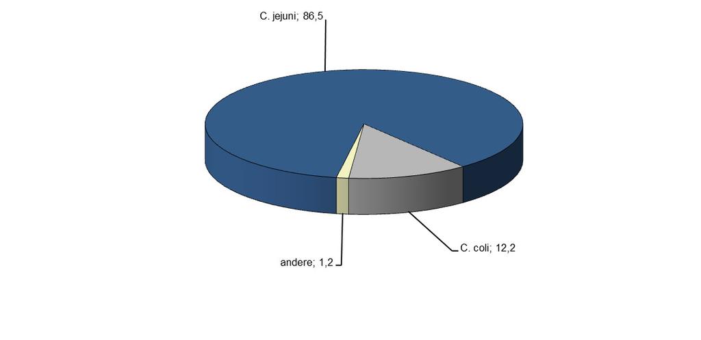 Tabelle 2: Verteilung der Campylobacter -Erstisolate nach Altersgruppen und Geschlecht, Daten der Nationalen Referenzzentrale 2012 Campylobacter spp C. jejuni C.