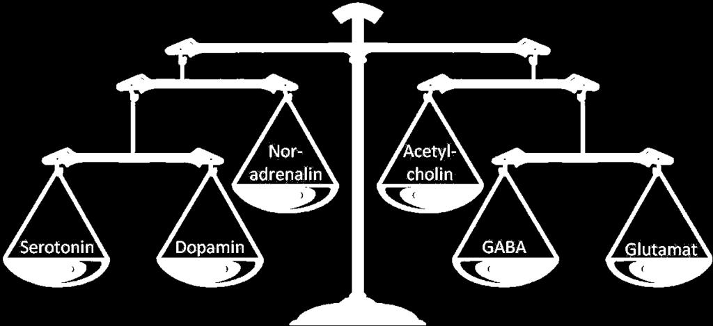 Acetylcholin: Aufmerksamkeit, bessere Speicherung Dopamin: (Neugierde, Konzentration,