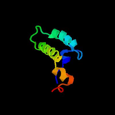 Protein-Alignment kann durch tertiäre Strukturinformationen geführt werden Gaps eines Alignments sollten vorwiegend in Loops liegen, nicht in Sekundärstrukturelementen.