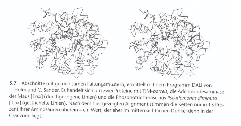 DALI (Distance-matrix Alignment) L. Holm & C. Sander Während der Evolution eines Proteins verändert sich seine Struktur.