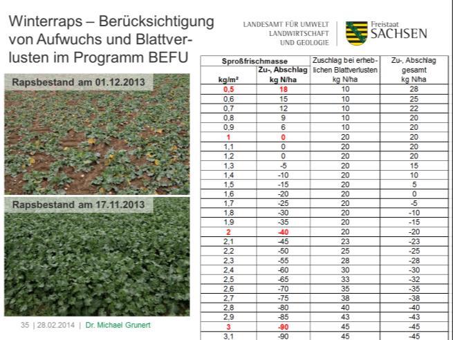 (weite Entwicklung, gute Durchwurzelung) -