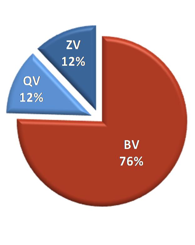 Anteile Binnen-, Quell- und Zielverkehr bezogen auf das Land Mecklenburg- Vorpommern 76 % BV: Binnenverkehr QV: Quellverkehr ZV: