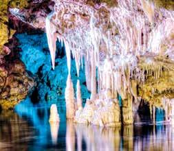 Anschließend geht es zu den Coves dels Hams (Angelhakenhöhlen) einem Tropfsteinhöhlensystem mit einem unterirdischen See, das seinen Namen den ungewöhnlich baumartig gewachsenen Formen der