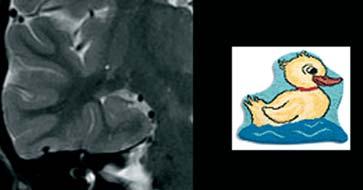 Neuroradiologie (Anton Valavanis) sowie die hochmoderne Ultraschall-, CT- und MRT-Geräte fördern diese zentrale Stellung.