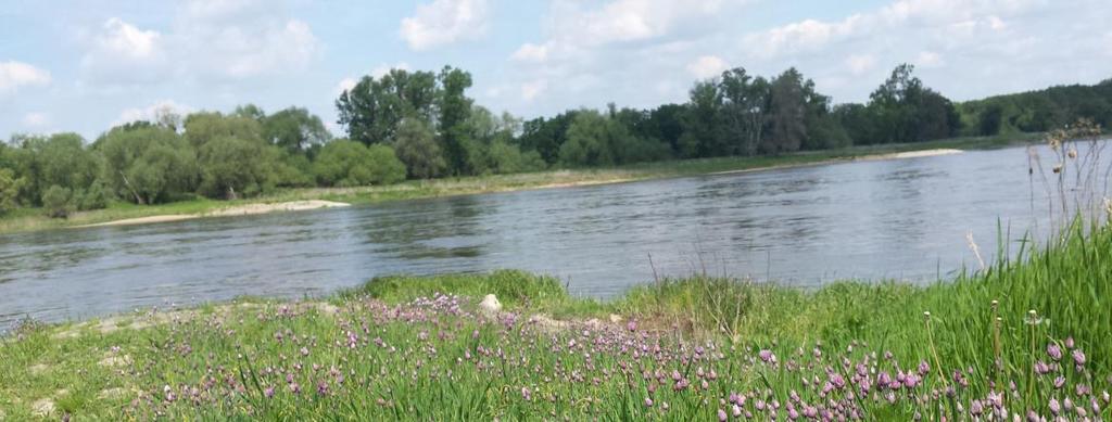 Weitere Aspekte der Uferregelung an der Elbe Öffentlichkeitsausschluss auf ca.