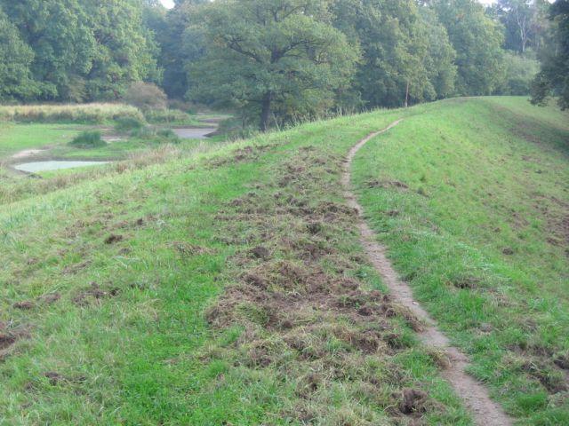 35,0 ha bei 7,3 km Deichlänge und 35 m Breite bei