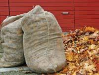 0721 91326-11 Jetzt extra günstiges Baugeld sichern! Sie haben die Immobilie, wir den Käufer! Laubsäcke im Monatsspiegel Jutesäcke für Ihr Laub und Ihre kompostierbaren Gartenabfälle, für 0,25 /p.