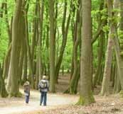 Tipps und Tricks für gelenkschonendes Gehen und Wandern vermittelt Ihnen in diesem Naturwaldreservat unser zertifizierter Wanderführer Heinrich Scheidler-Lütjen.