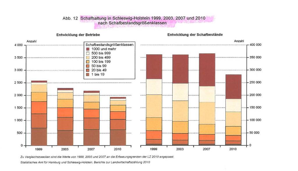 Bei der Verteilung der Schafe in Schleswig-Holstein ist die hohe Besatzdichte in den Kreisen Nordfriesland (42 %) und Dithmarschen (32%) besonders auffällig.