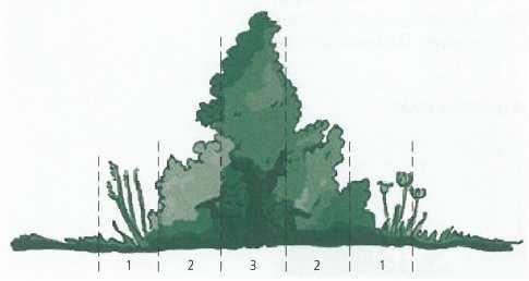 4.7 Hecken & Formgehölze (S.271-276) 5 Funktionen einer Hecke aufzählen. 5 immergrüne Pflanzen für geschnittene Hecken nennen. 5 sommergrüne Pflanzen für geschnittene Hecken nennen.