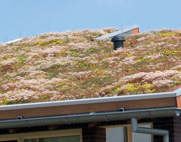 PLUS für den Bauherren Schutz der Dachabdichtung Nackte Flachdächer sind extremen Witterungseinflüssen, UV-Strahlung und mechanischen Belastungen ungeschützt ausgesetzt.