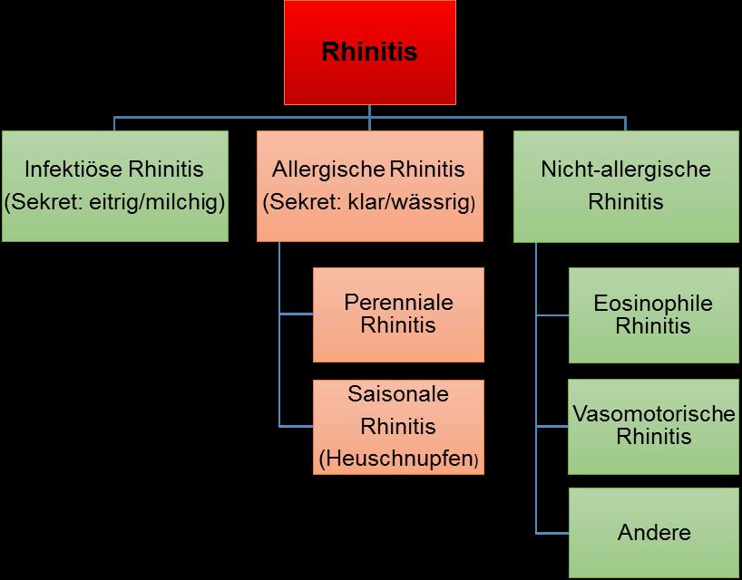 6.3 Allergische Rhinitis Grundsätzlich lässt sich die Rhinitis in drei verschiedene Gruppen einteilen, nämlich in die infektiöse, die allergische und die nicht-allergische Rhinitis (Müller 2006, S.
