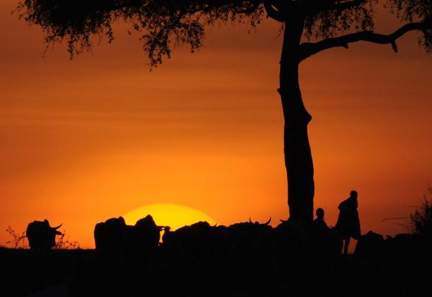 Von Juli bis Oktober können Sie in der Massai Mara auf die große Gnu-Wanderung treffen, die sich in einem jährlichen großen Kreislauf