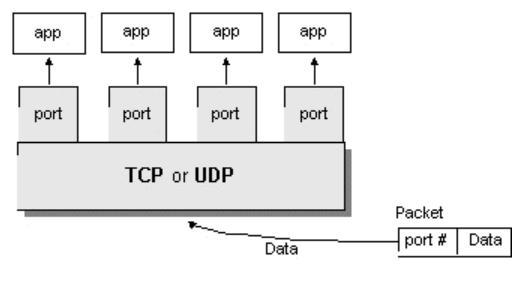 Ports Grundlagen TCP/IP Ein Rechner hat normalerweise eine physikalische Verbindung zum Internet und zu einem anderen Rechner.