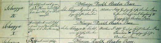 Die Stutenfamilie 885 Moldvai geboren 1785 wird neu zur Stutenfamilie 370 Moldvai geboren 1783. m letzten Frühsommer haben Dr.