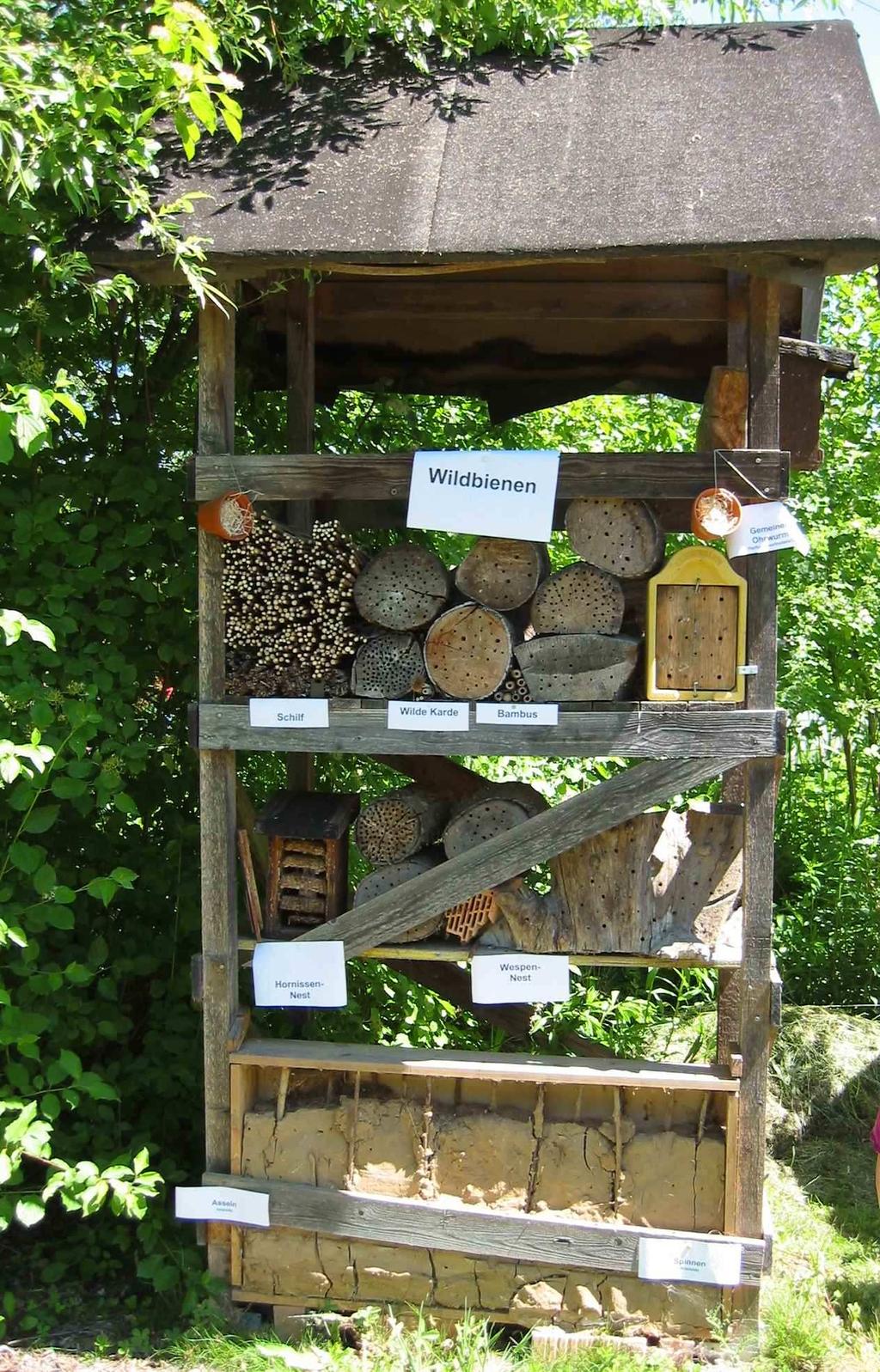 A. Vorbereitung Informieren Sie sich vorher selbst über die Wildbienen und Honigbienen. Oft können die Menschen Bienen, Hummeln, Wespen und Hornissen nicht richtig unterscheiden.