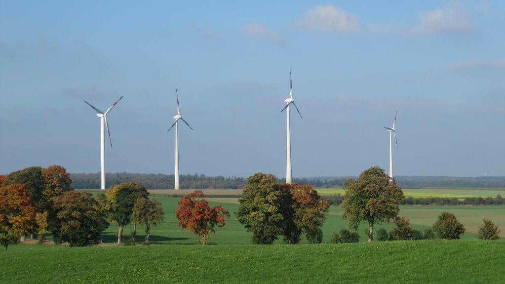 NABU-Position Windenergie Artenschutzfachlicher Leitfaden und Handlungsbedarf für den naturverträglichen Ausbau der Windenergie in Hessen Einleitung Um den Anforderungen des internationalen