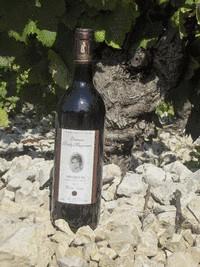 Domaine Pierre CROS Les Costes AOP Minervois 2013 Alc. 13,5 vol Vermentino, Grenache Blanc, Picpoul, Muscat Einer der dichtesten Weißweine, die wir seit langem trinken durften.