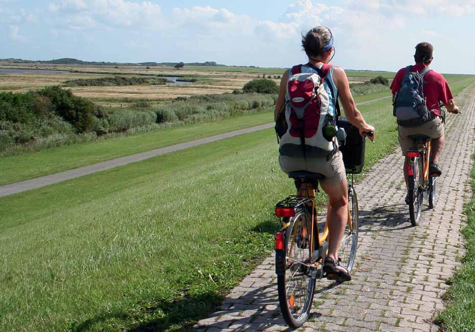 20 Outdoor Auf zwei Rädern durch viele Welten Egal, ob hinter dem Deich oder auf den Inseln : Für Velofahrer ist Ostfriesland ideal.