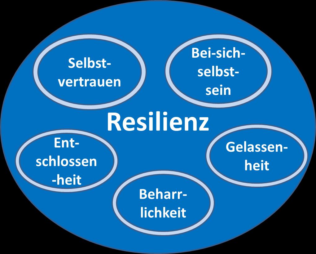 DOLORES Hintergrund Resilienzkern Resilienz als
