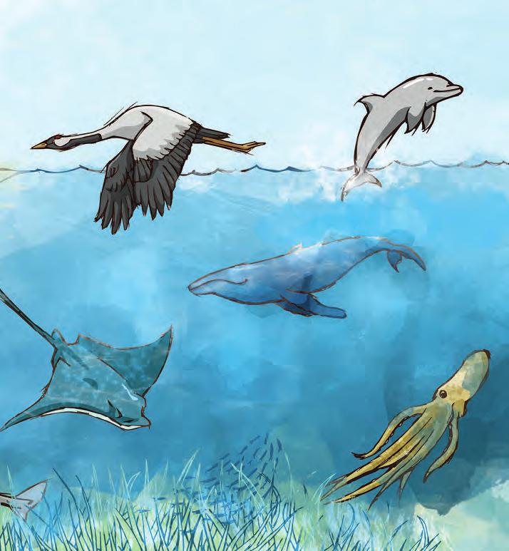 Störche und Kraniche sind Zugvögel, die im Park überwintern. Delfine und Wale sind Meeressäugetiere.