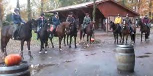 Oktober trafen sich über 30 Reiter am Forellenhof in Hünzingen; acht Reiter aus Düshorn scheuten