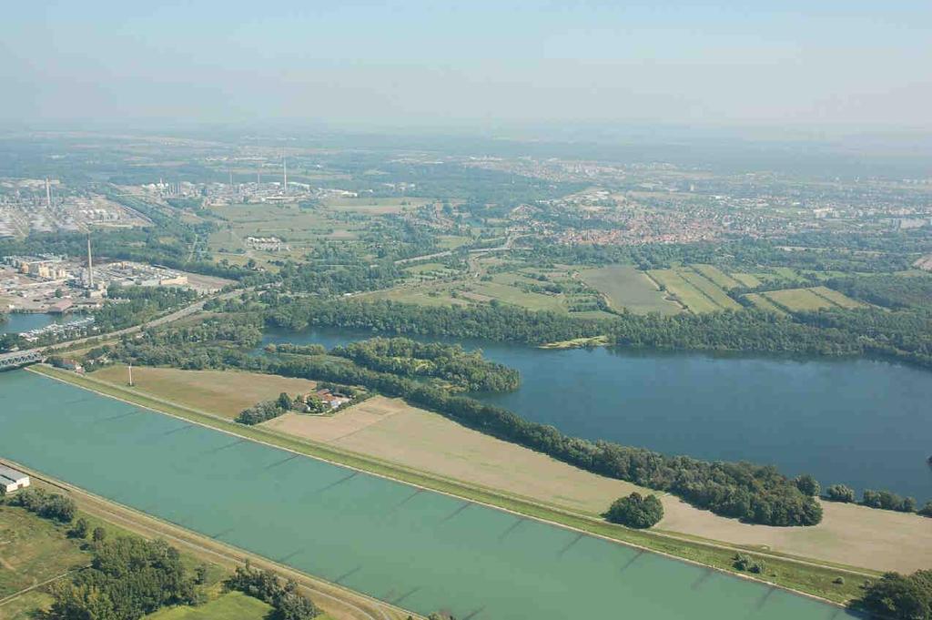 Themenfelder Lebendiger Rhein : - Wasserqualität, Gewässerstruktur, Durchgängigkeit - Hochwasserschutz,