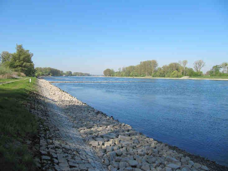 Oberrhein naturnahe Uferstrukturen fehlen