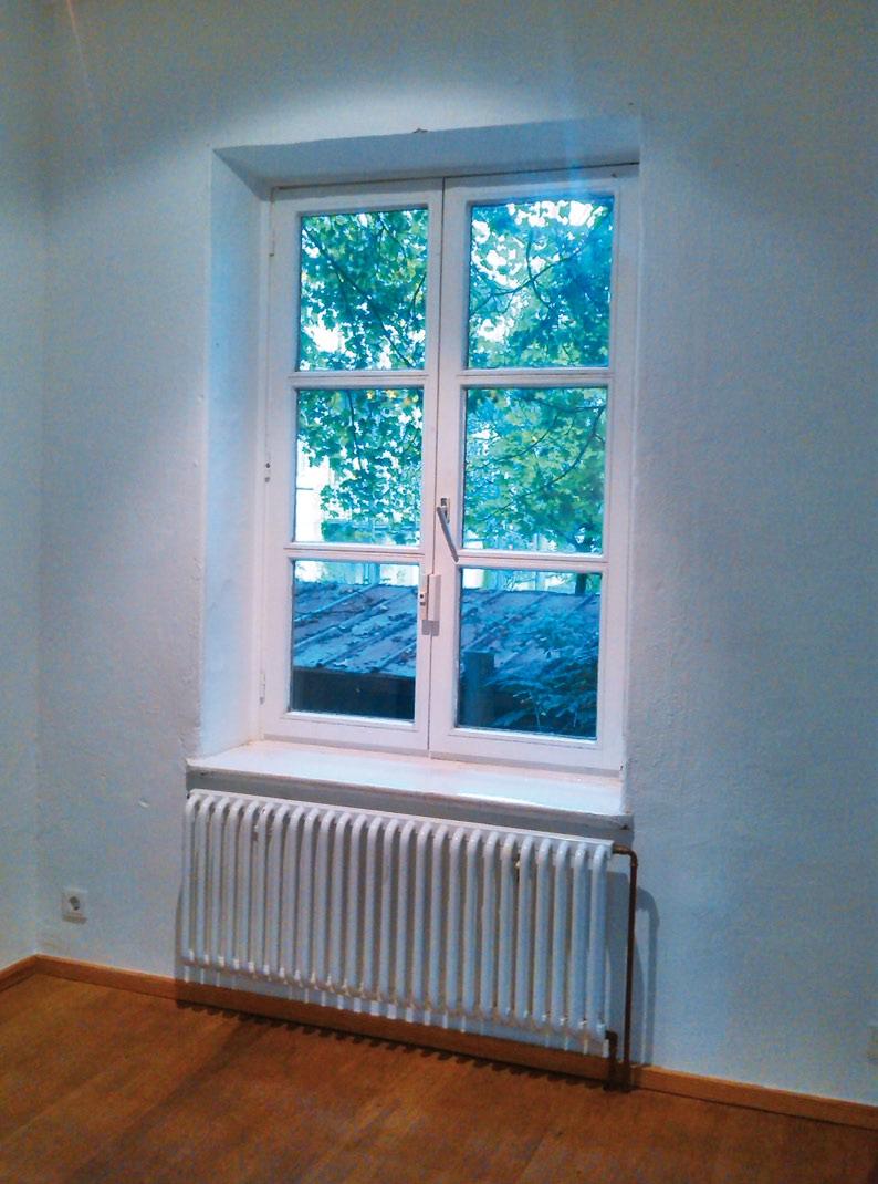 Natural 65, 2015, Sonnenschutzfolie auf Fensterglas, 140 x