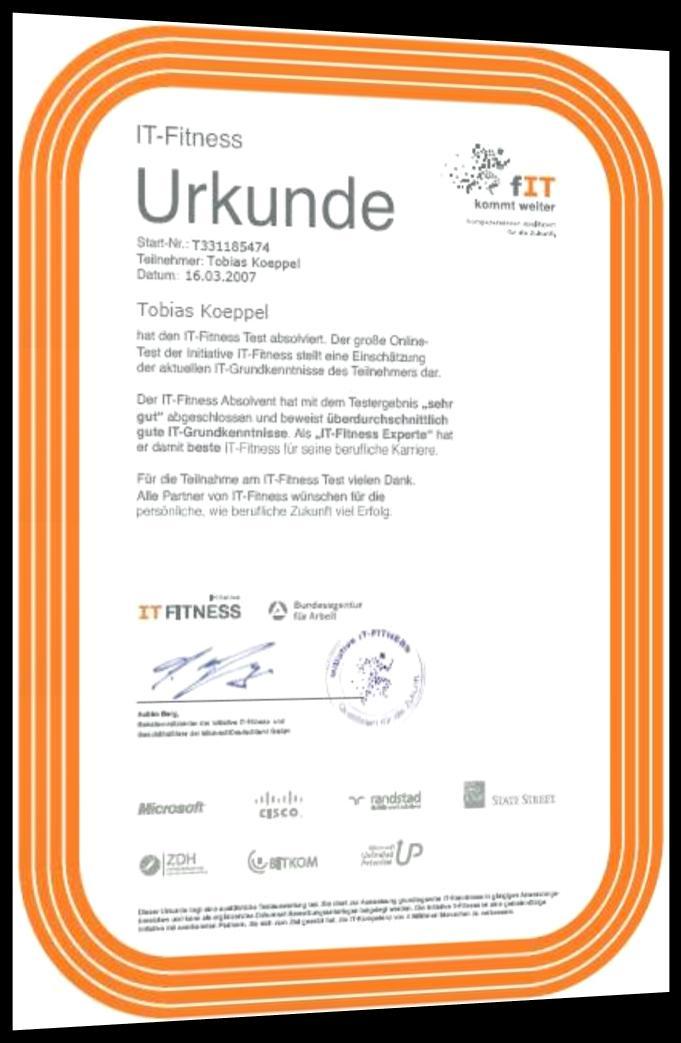 IT-Fitness-Urkunde Jeder Absolvent des IT-Fitness- Testes erhält eine Urkunde: Unterschrift Stempel (Siegel) der Initiative Logos der Initiative und Partner