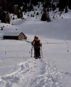 Schneeschuhwandern in Lüsen Januar 2012 plante Eva eine weitere Schneeschuhtour in Südtirol, diesmal sollten wir uns nicht nur sportlich betätigen sondern auch mal, bei abendlichen Saunagängen, die