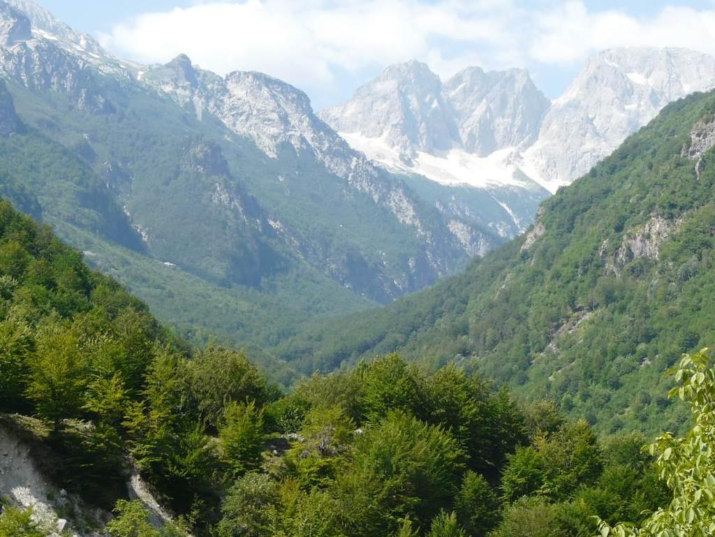 Aktueller Stand Erweiterung Liste aller alten Buchenwälder Europas: über 100 Bestände Davon abgeleitete Shortlist möglicher Kandidaten für die Welterbe- Nominierung enthält 64 Gebiets-Vorschläge aus