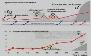 Urologische Diagnosen in abnehmender HÅufigkeit 1. Cystitis Ç Cysto-Pyelitis 2. Benigne Prostata-Hyperplasie (ÉBPHÑ) 3. Harninkontinenz 4. Urolithiasis 5. Harnverhalt 6. Potenzprobleme 7.