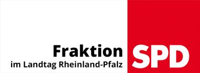 SPD-Fraktion direkt Ausgabe 2016 06 12.02.